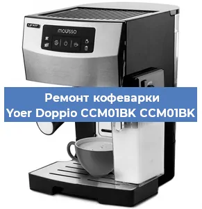 Чистка кофемашины Yoer Doppio CCM01BK CCM01BK от кофейных масел в Челябинске